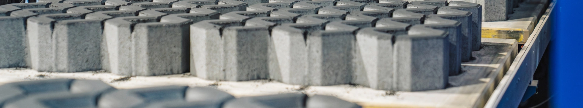 OL-TRANS-ZDJECIE (19)